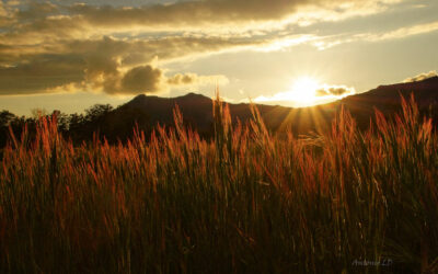 Fallece P. Marcelo Manso Dueńas