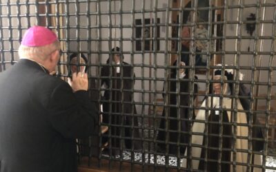 Profesión solemne de una Carmelita Descalza en Caudiel