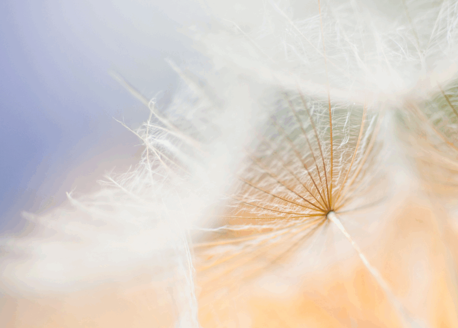 Las Exclamaciones del alma a Dios: un diálogo ardiente con el Amado