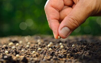 «Auméntanos la fe»