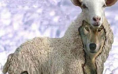 «Mirad que nadie os engañe»