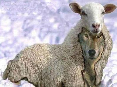 «Mirad que nadie os engañe»