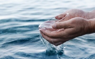 “Conviene que así cumplamos toda justicia”