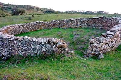 «El que entra por la puerta es pastor de las ovejas»