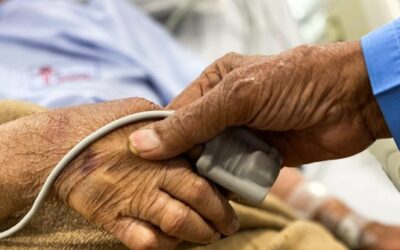 «Aneu i prediqueu, anunciant que el regne de Déu és a prop»