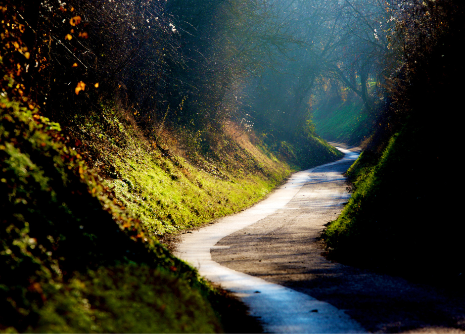 Camino de perfección: aprender a vivir desde la amistad con Dios