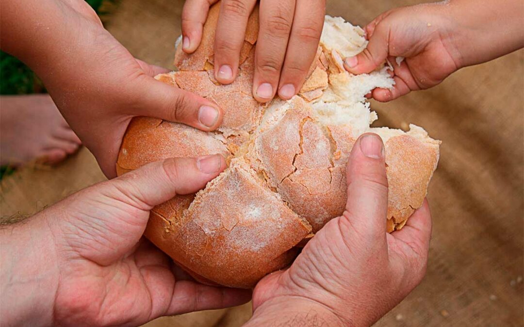 «No hace falta que vayan, dadles vosotros de comer»